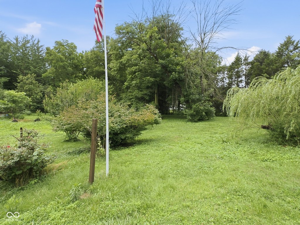 Picture 15