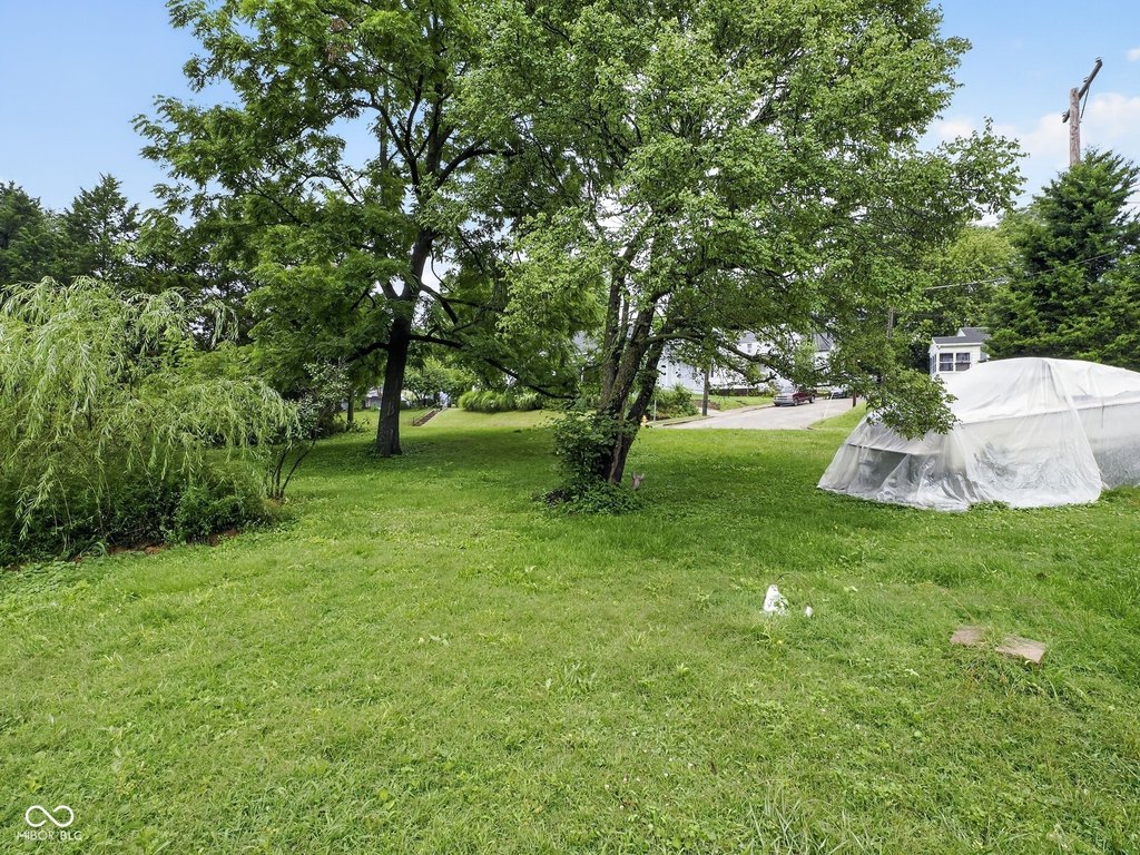 Picture 12