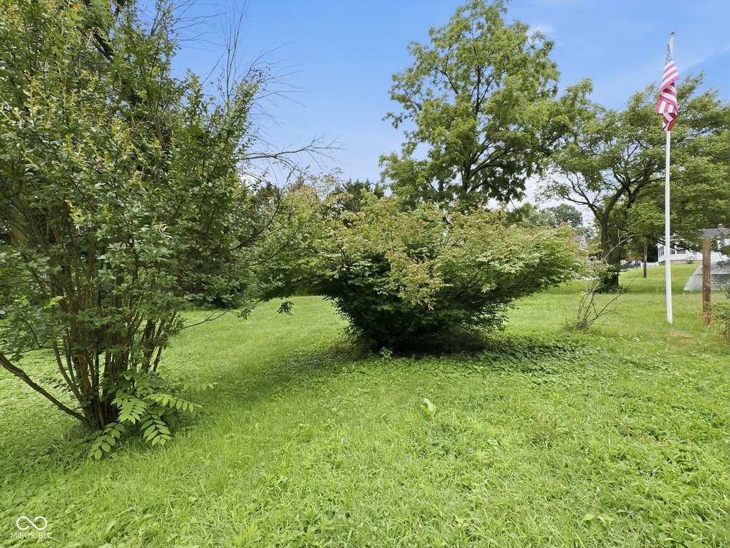 Picture 14