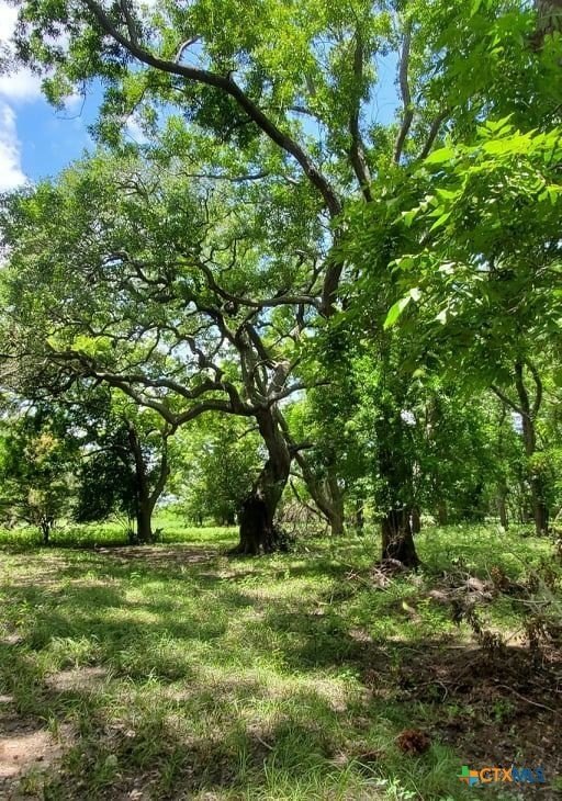 Picture 17