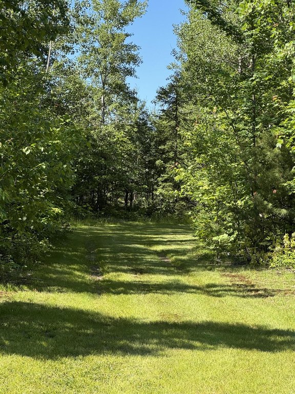 Picture 25