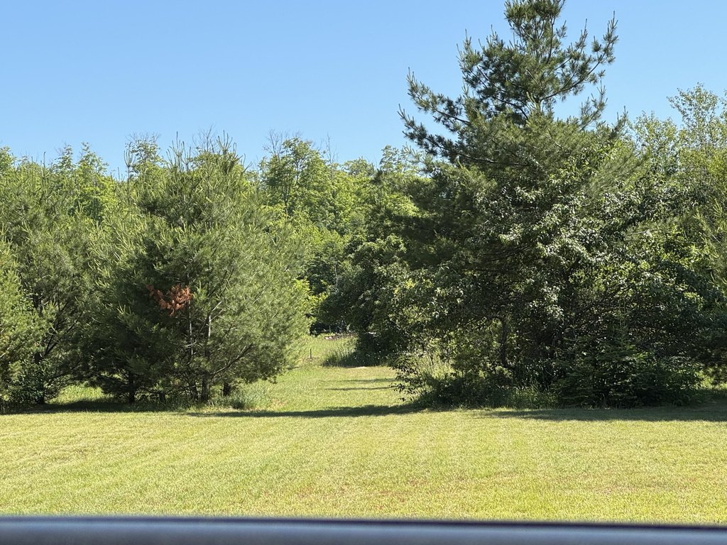 Picture 24