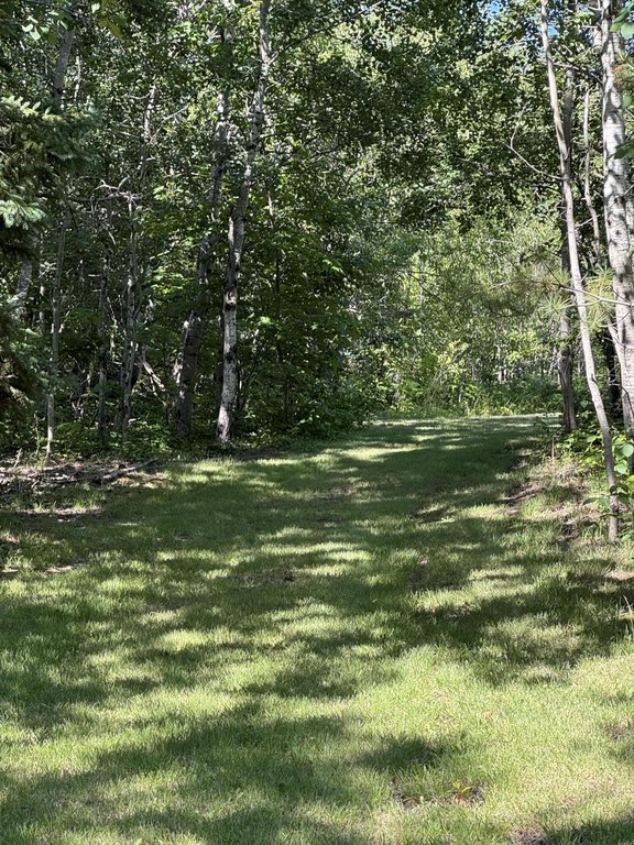 Picture 28