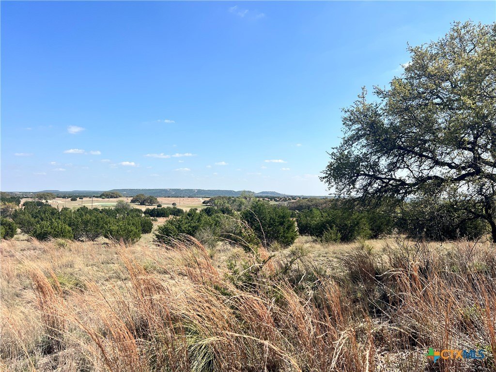 Scenic Land in Pecan Creek Ranch