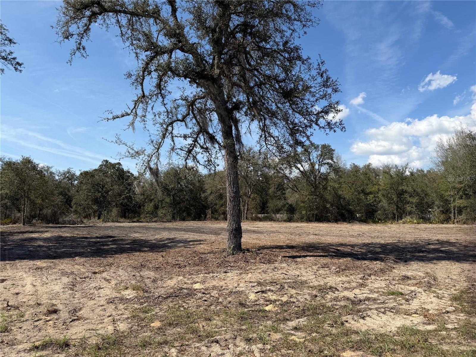 Cleared Lot in Bronson, FL
