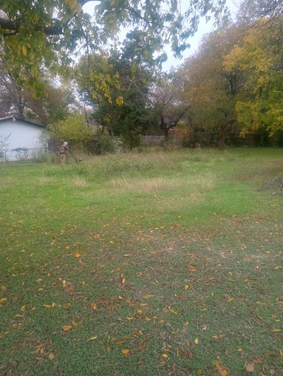 Picture 2