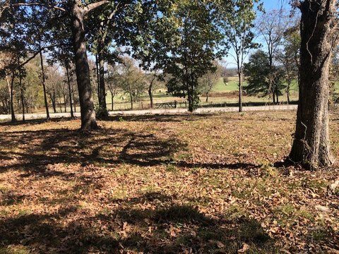 5 Acres in Lincoln, AR