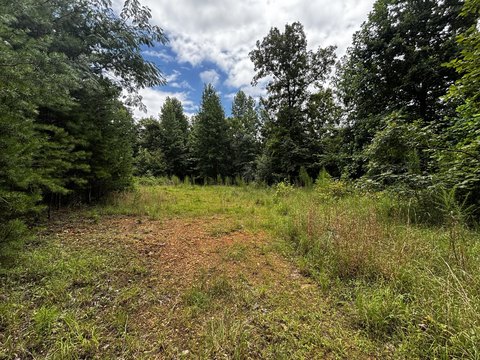 LAND - South Pittsburg, TN
