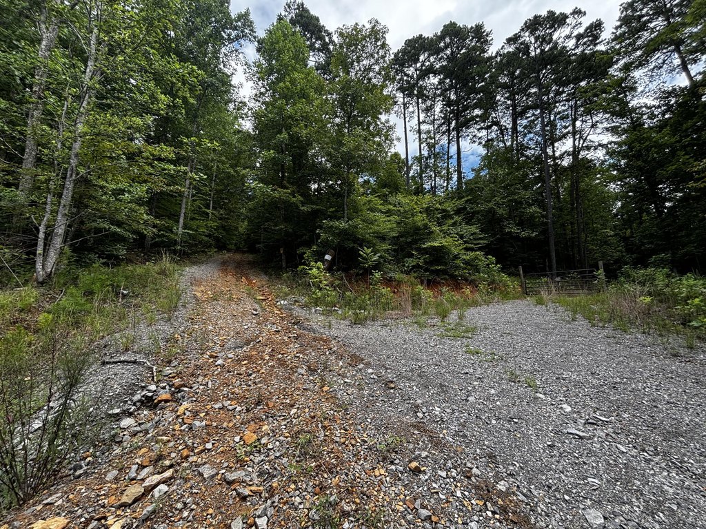 Picture 16
