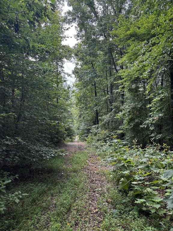Picture 4