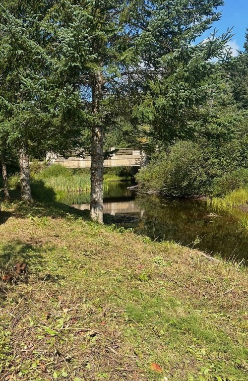 Picture 10