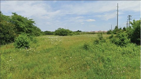 Commercial Development Land Opportunity