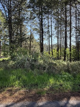 Land Near Whitethorn Amenities