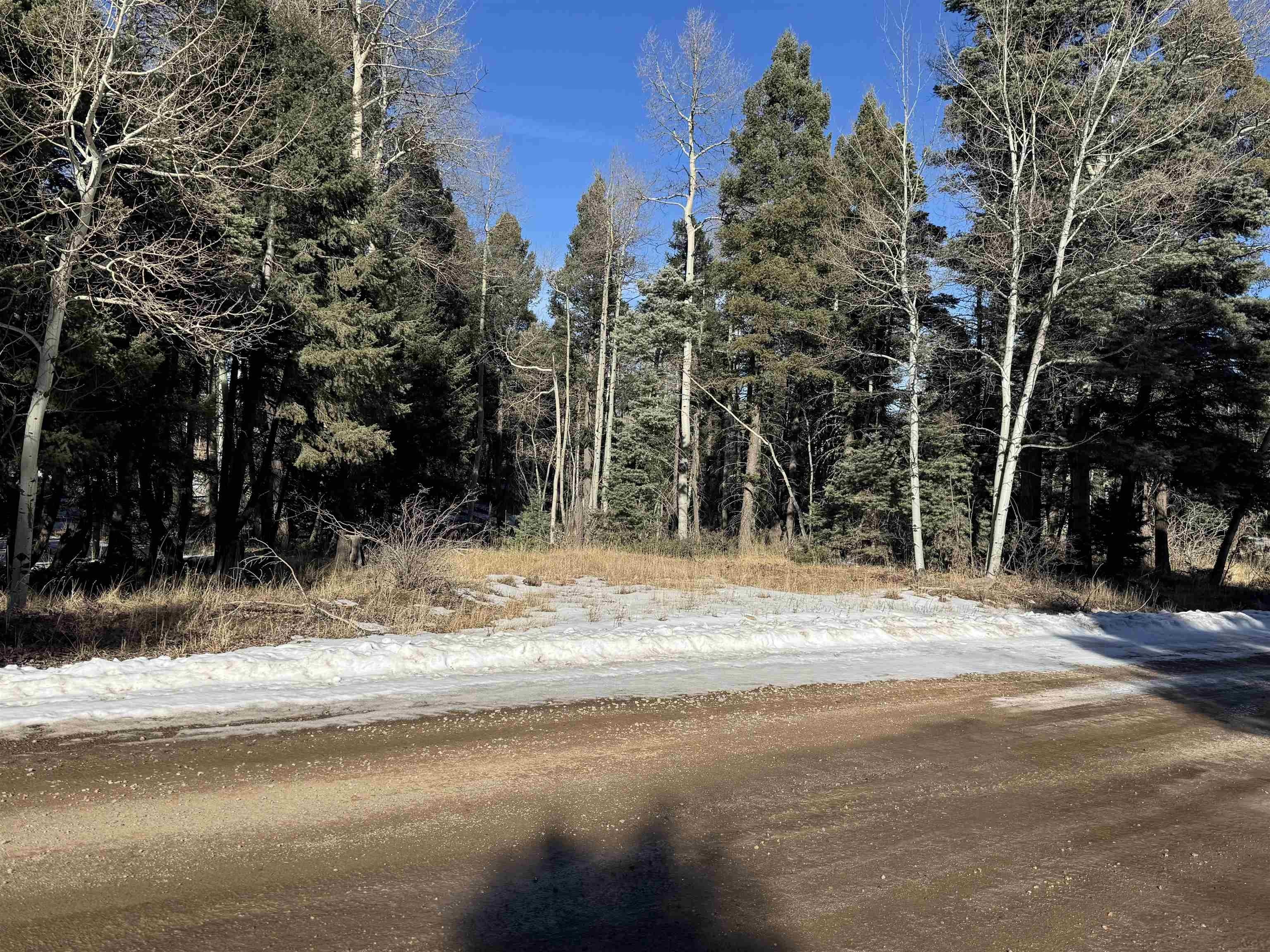 Angel Fire Land For Sale