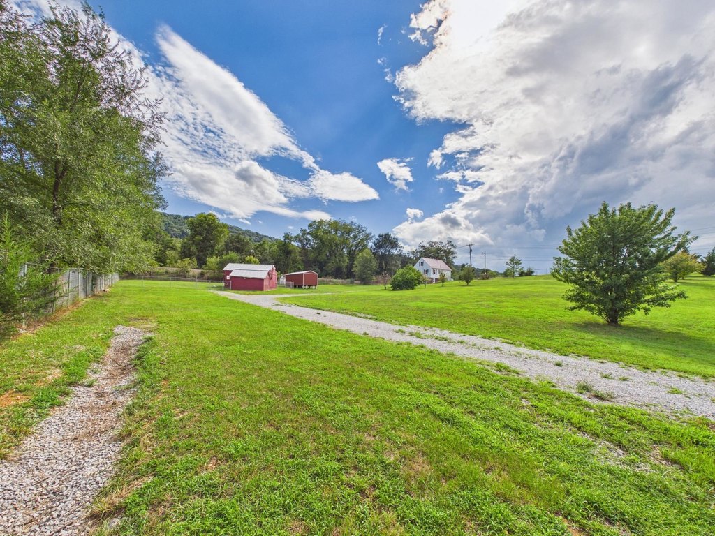 Picture 25