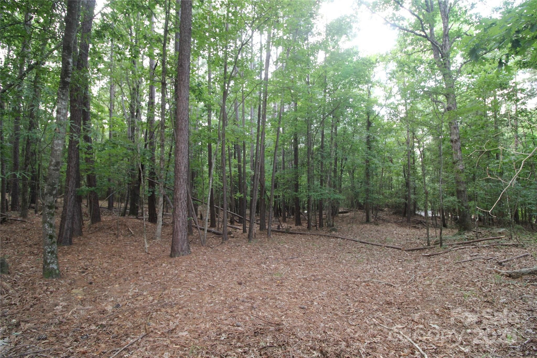 Rock Hill Acreage: Build Ready