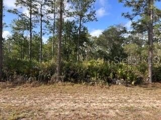 Half-Acre Residential Land Parcel