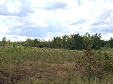 Land, OXFORD, MS