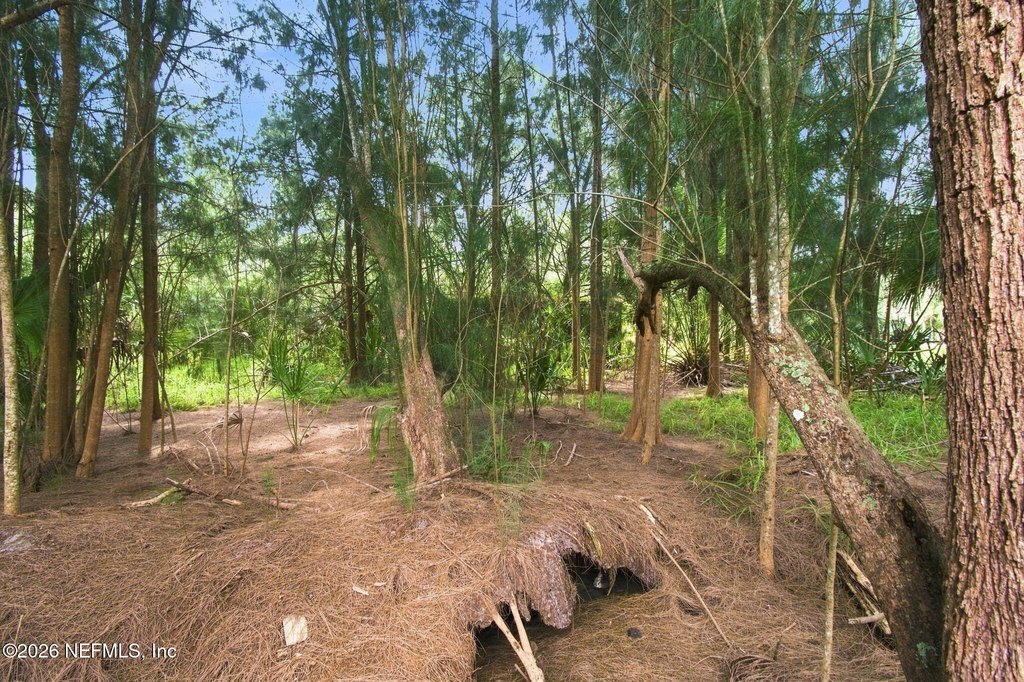Picture 9