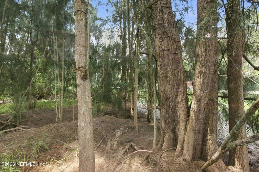 Picture 11