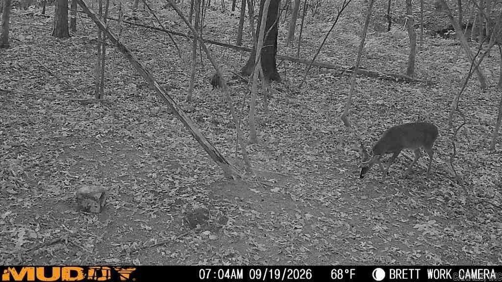 Picture 30