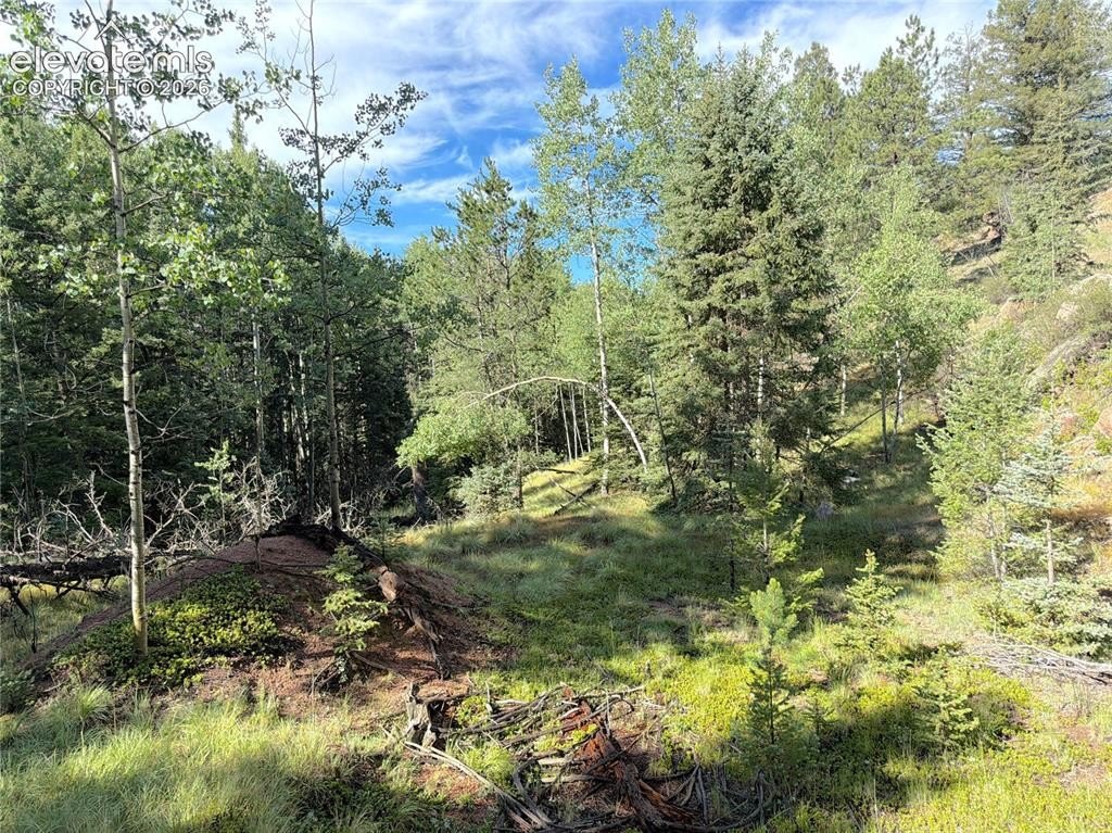 Picture 8