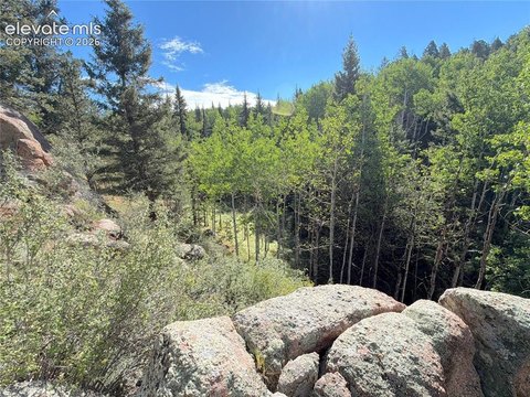 LAND - Florissant, CO