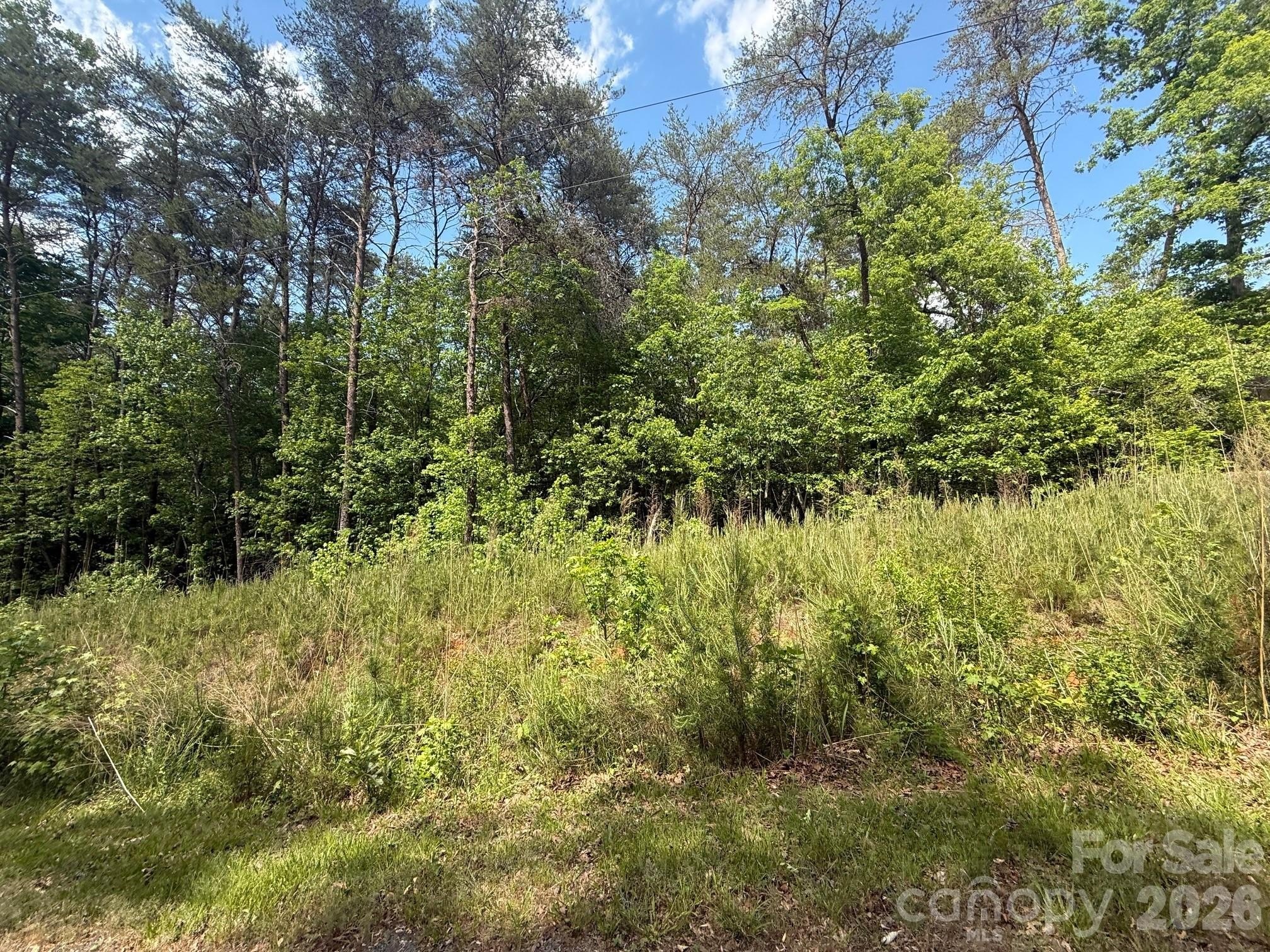 Wooded Lot in Gated Community