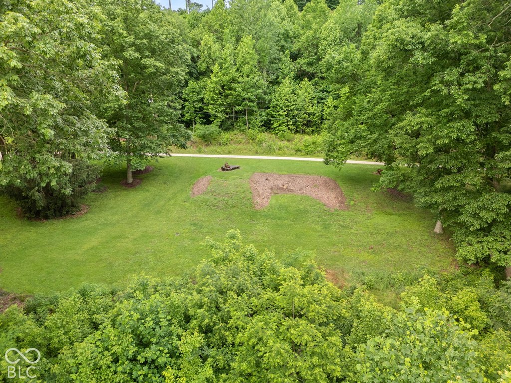 Picture 16