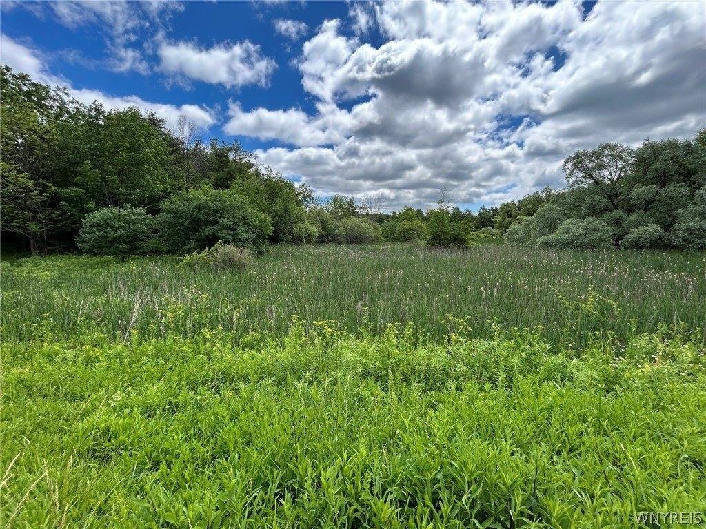 Picture 8