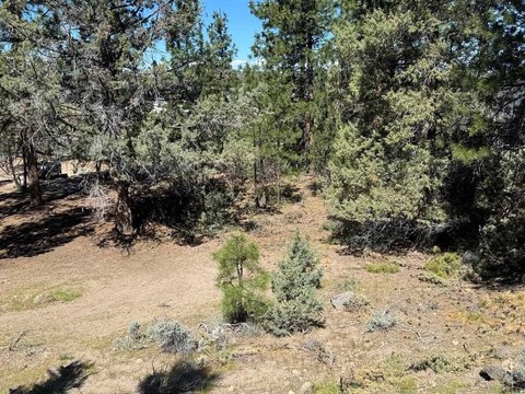 Land Near Lake Shastina