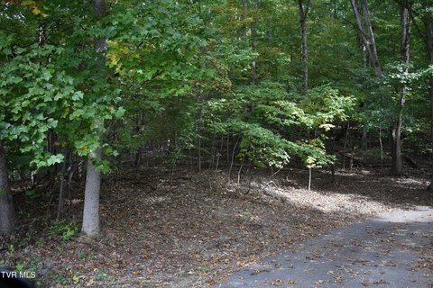 Land, Rogersville, TN