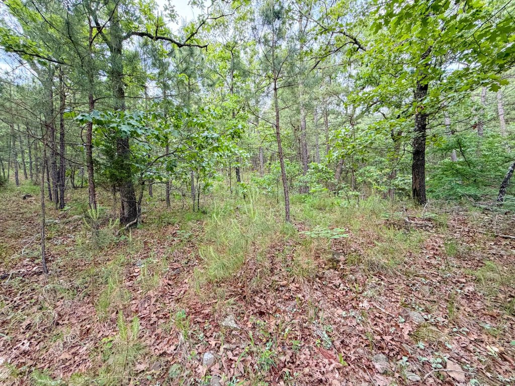 Picture 21