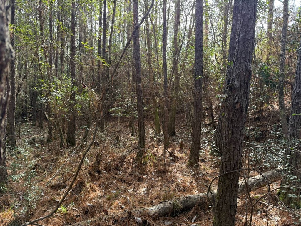 Picture 14