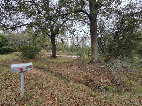 Vidor, TX Acreage with Utilities