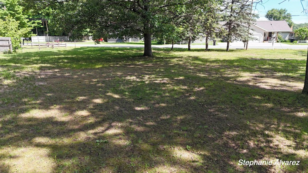 Picture 6