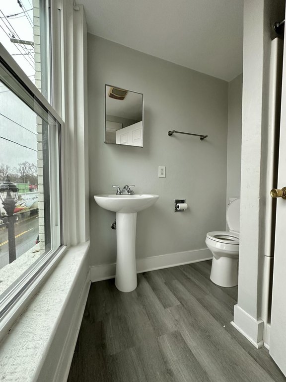 Picture 5