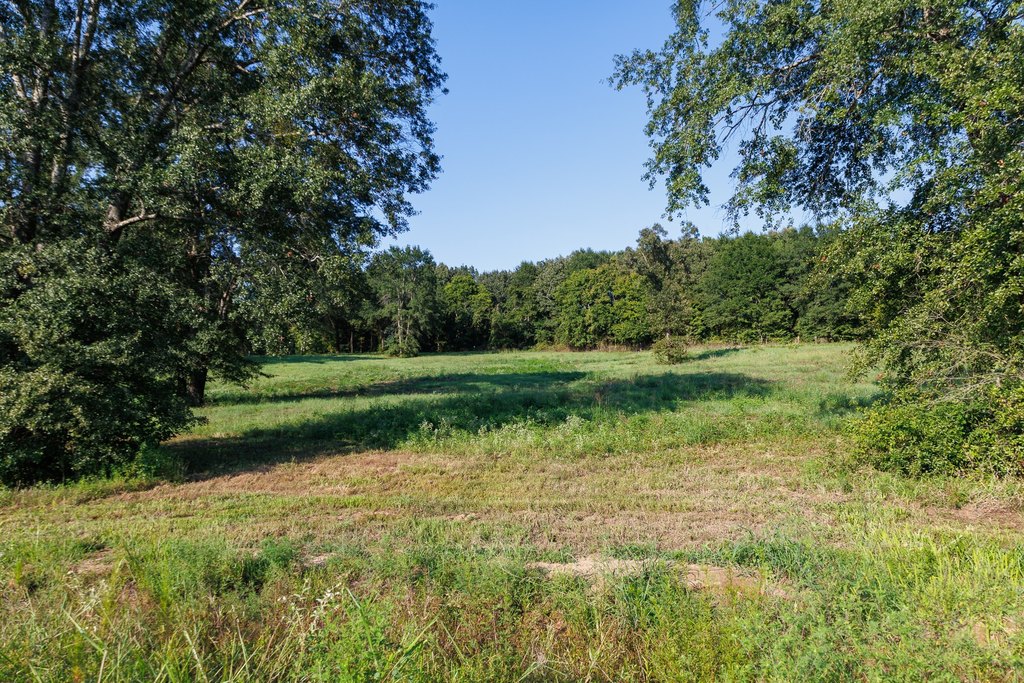 Picture 25