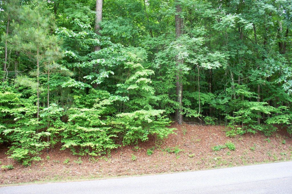 Picture 7