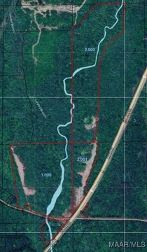 Wooded Land in Greenville City