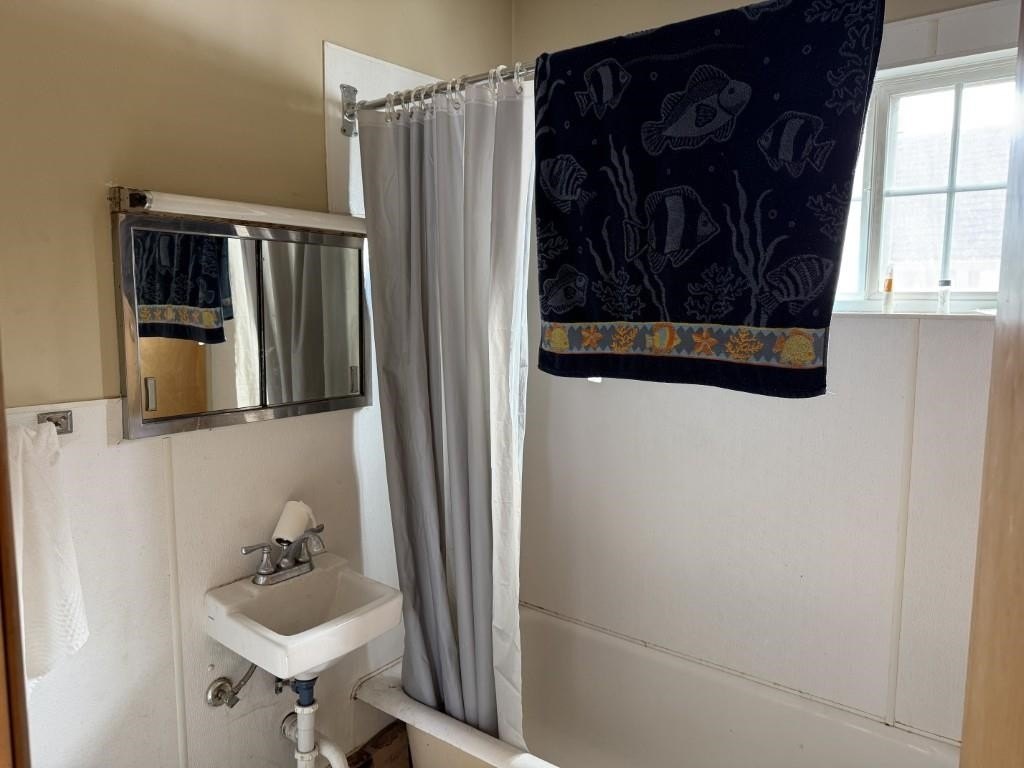 Picture 7