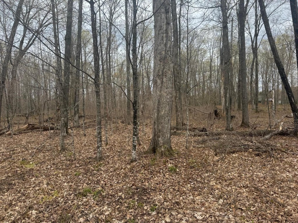 Picture 12