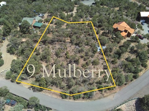 Buildable Mountain View Lot