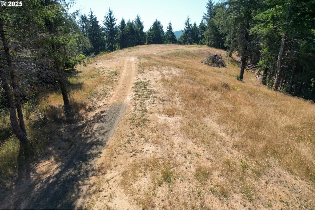 Picture 14