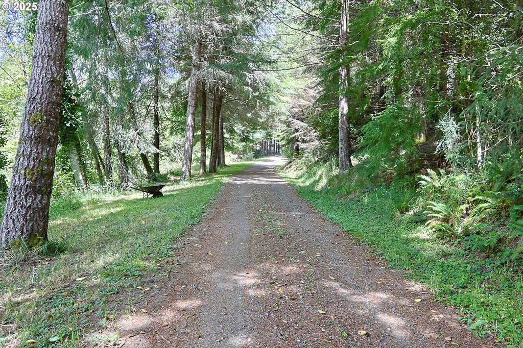Picture 47