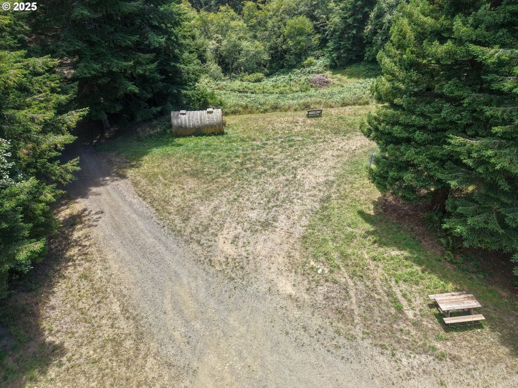 Picture 15