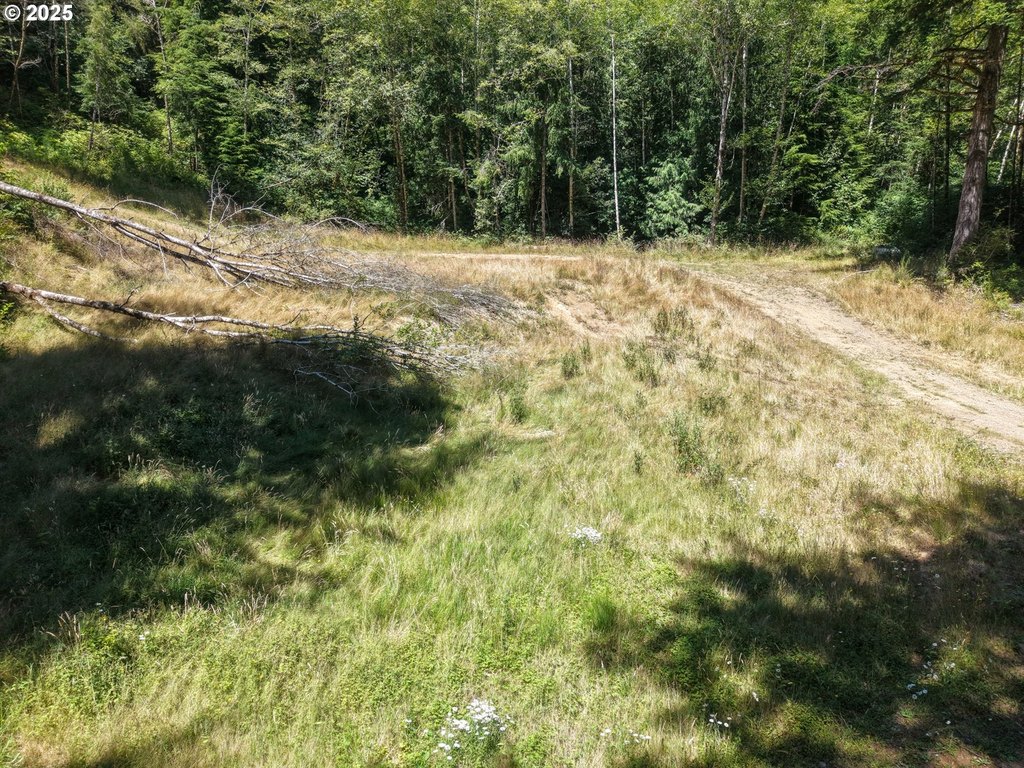 Picture 12