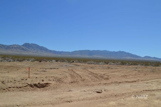 Littlefield Single Family Lot Available