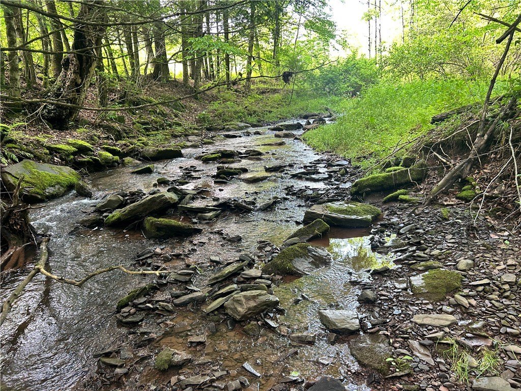 Picture 3