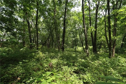 Land, Baldwin City, KS